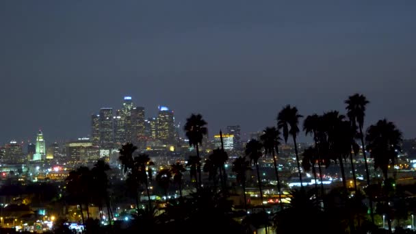 ヤシの木との夜ダウンタウン ロサンゼルス — ストック動画