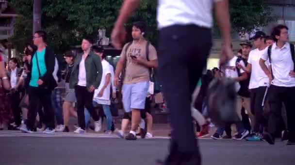 La gente cruza la famosa intersección en Shibuya, Tokio, Japón — Vídeos de Stock