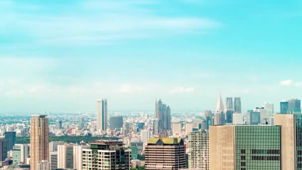 Time-lapse dello skyline di Tokyo — Video Stock