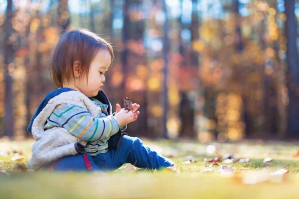 外で遊んで幸せな幼児少年 — ストック写真