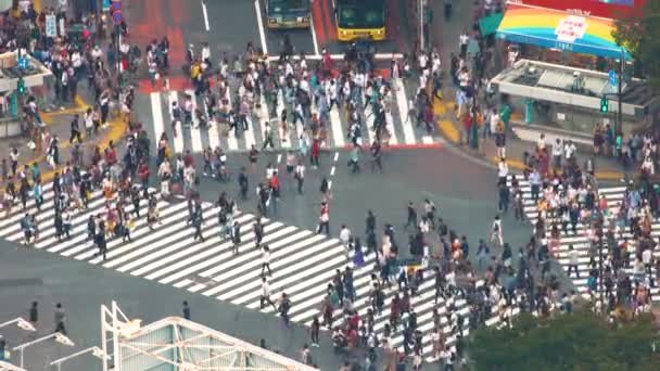 人々 は、渋谷、東京、日本、世界で最も忙しい横断歩道の一つで有名な交差点を横断します。. — ストック動画