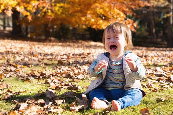Toddler pojke gråter utanför — Stockfoto
