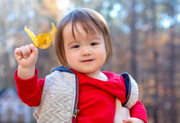 Tout-petit garçon jouant à l'extérieur en automne — Photo