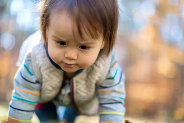 Toddler chłopiec gra poza — Zdjęcie stockowe