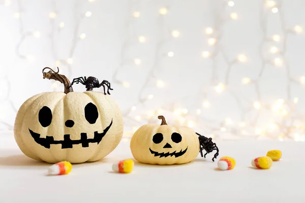 Halloween tök pókkal — Stock Fotó