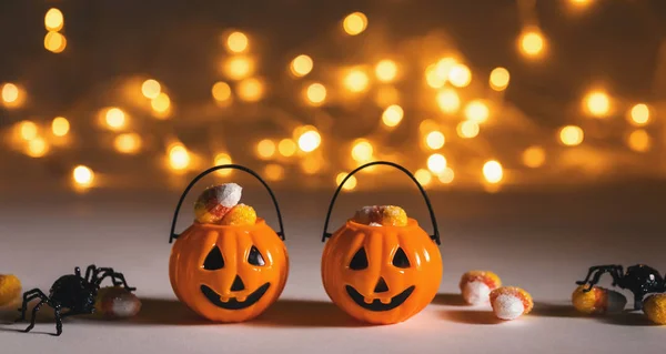 Halloween pompoenen met spin — Stockfoto