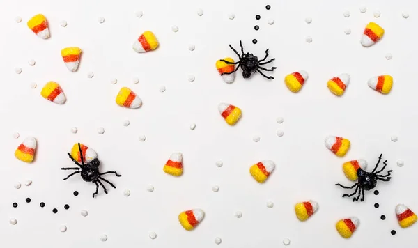 Aranhas de Halloween vista aérea — Fotografia de Stock