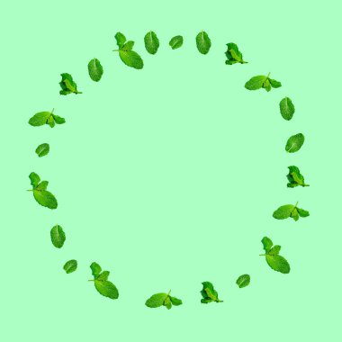 Yeşil nane yaprakları