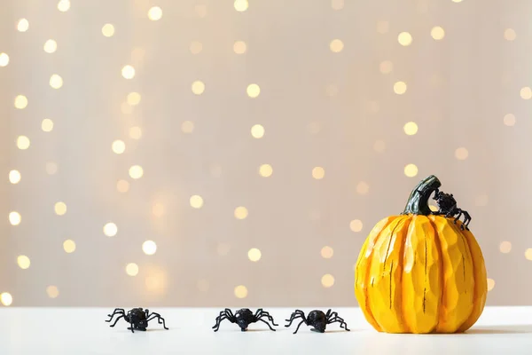 Calabaza de Halloween con araña —  Fotos de Stock