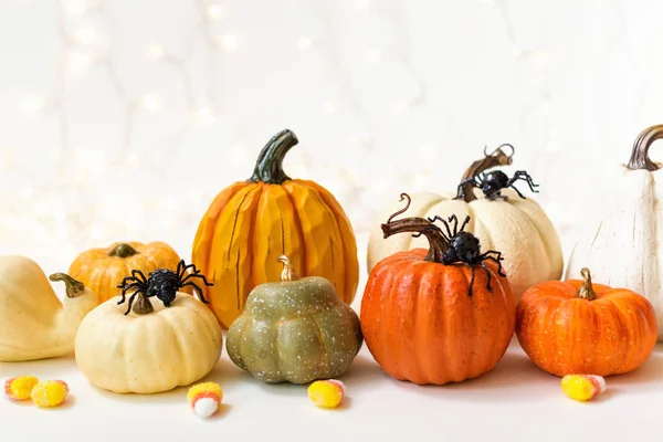 Halloween pumpkins with spider — Stock Photo, Image