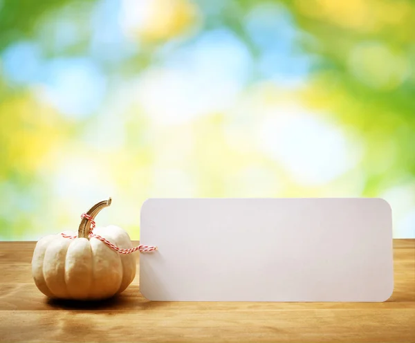 Ein Herbstkürbis — Stockfoto