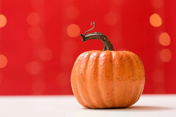 A autumn pumpkin — Stock Photo, Image