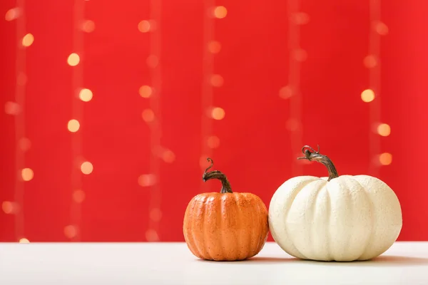 Collection of autumn pumpkins — Stock Photo, Image