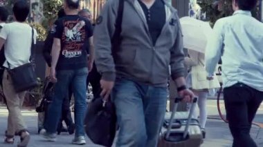 Kadın hizmetçi kafeterya Akihabara müşterilerine solicits.