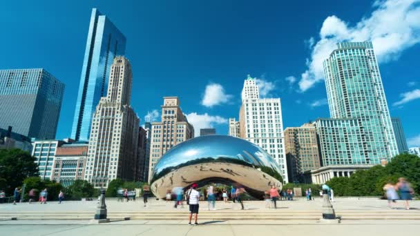 Tourists visit the Cloud Gate, a public sculpture in Millennium Park in time-lapse. — Stock Video