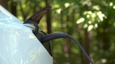 Raleigh, NC Tesla Model 3 şarj. İlk kitlesel pazar elektrikli araç olmak için küme modeli
