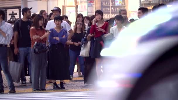 Tokio Japón Sep 2017 Gente Cruza Famosa Intersección Shibuya Tokio — Vídeos de Stock