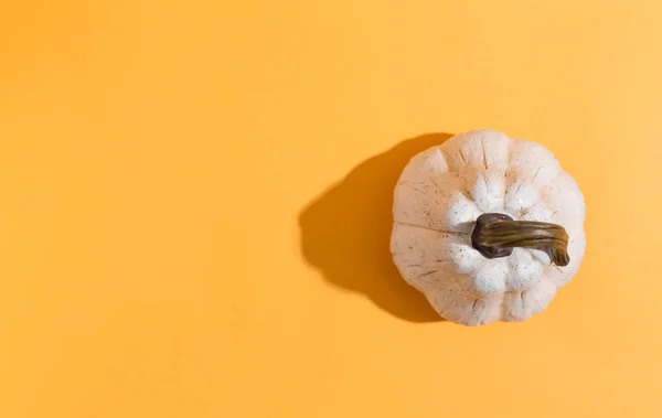 Una calabaza de otoño — Foto de Stock