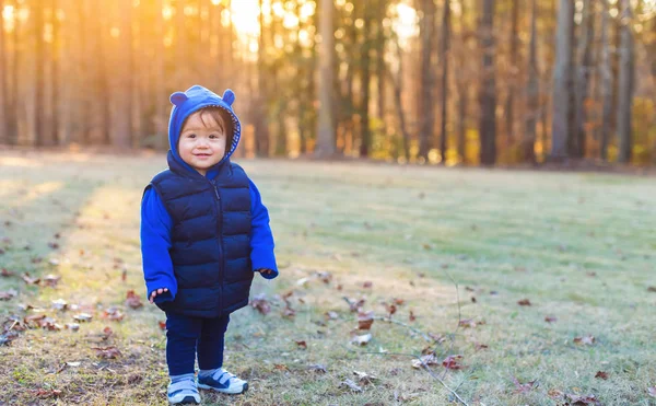 Toddler pojke spelar utanför i höst — Stockfoto