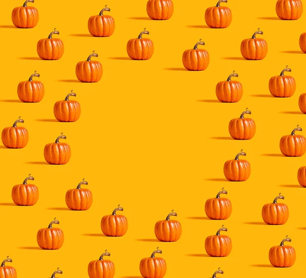 Autumn orange pumpkins — Stock Photo, Image