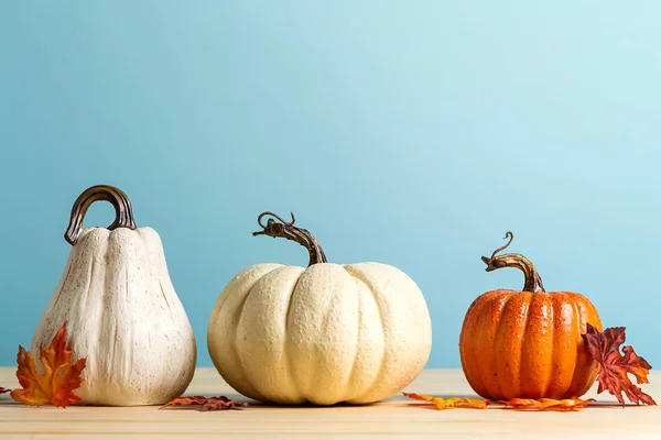 Collection of autumn pumpkins — Stock Photo, Image