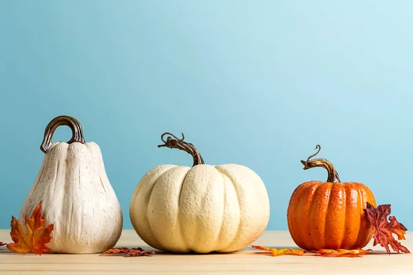 Colección de calabazas de otoño —  Fotos de Stock