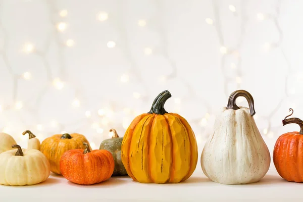 Collection of autumn pumpkins — Stock Photo, Image