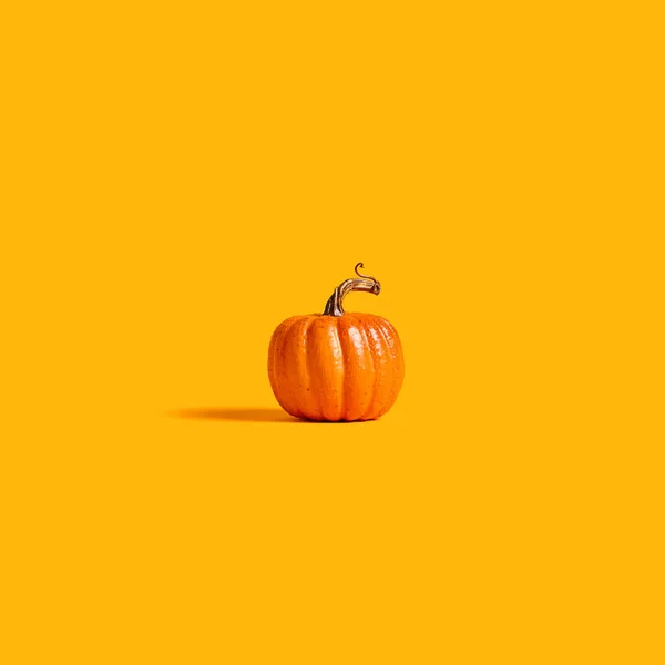 Осенняя оранжевая тыковка — стоковое фото