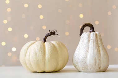 Sonbahar kabak toplama