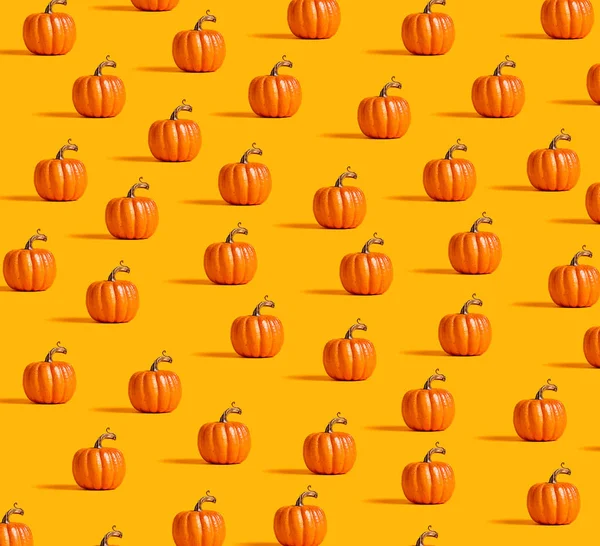 Citrouilles orange d'automne — Photo