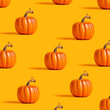 Sonbahar portakal kabakları