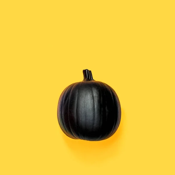 Black colored pumpkin — Stock Photo, Image