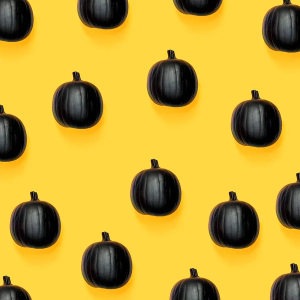 Black colored pumpkins — Stock Photo, Image