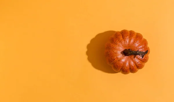 Bir sonbahar kabak — Stok fotoğraf
