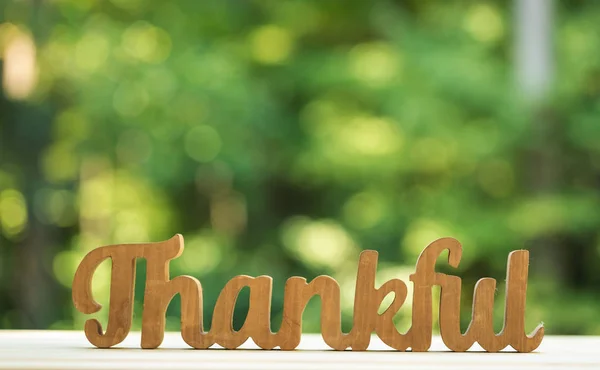 Thankful and grateful on forest background — Stock Photo, Image