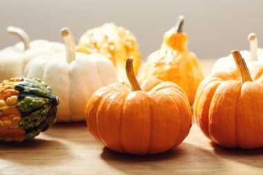 Rustik ahşap arka plan üzerinde kabaklar