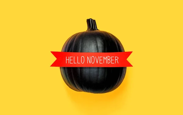 Hej November med en svart pumpa — Stockfoto