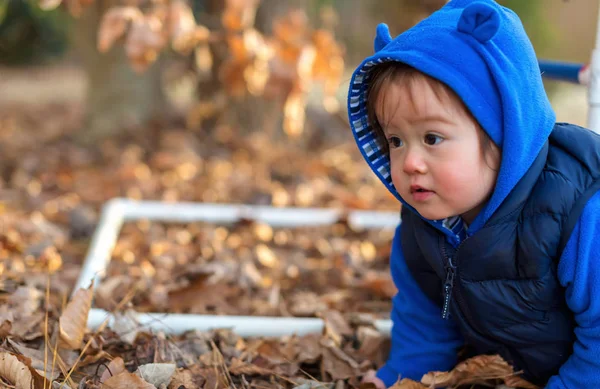 Toddler pojke spelar utanför i höst — Stockfoto