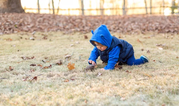 Toddler chłopiec gra poza jesienią — Zdjęcie stockowe