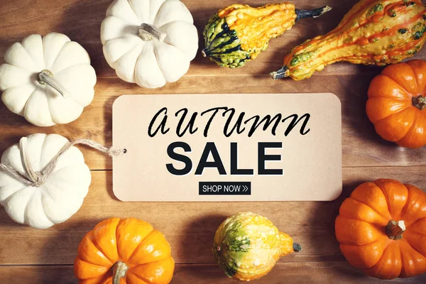 Autumn sale theme message with collection of pumpkins — Stock Photo, Image