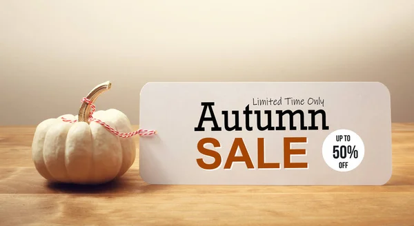 Autumn sale theme message with a small pumpkin — Stock Photo, Image