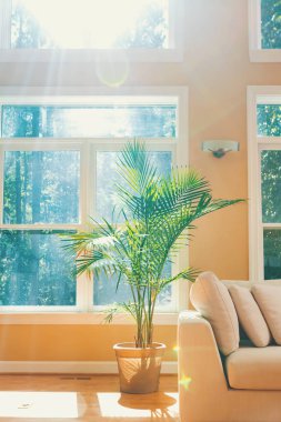 Dekoratif bir lüks ihome ağacında