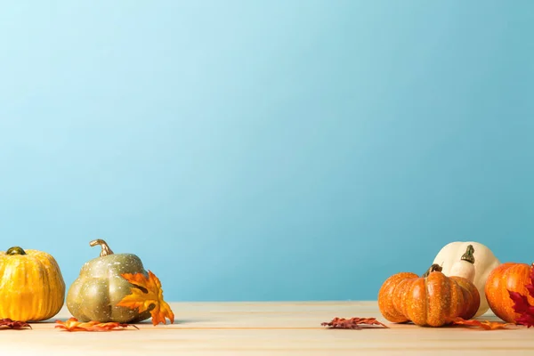 Collection of autumn pumpkins — Stock Photo, Image