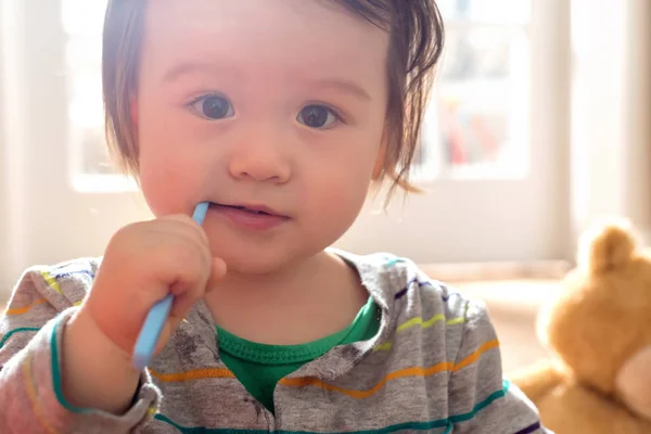 Toddler pojke borsta hans tänder — Stockfoto