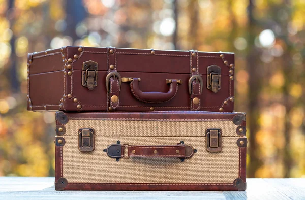 Kufry na pozadí lesa na podzim — Stock fotografie