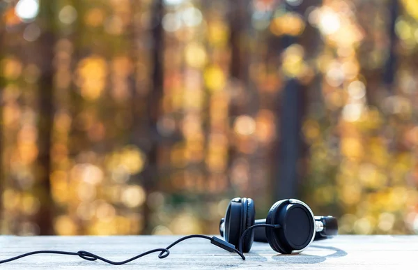 Casques sur fond de forêt automnale — Photo