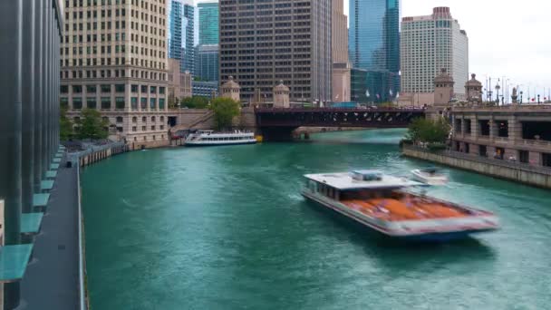 Hızlandırılmış tekneler üzerinde Chicago Nehri — Stok video