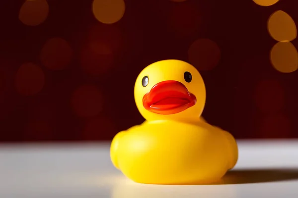 Rubber duck toy — Stock Photo, Image