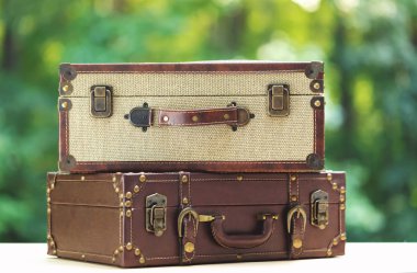 Bagaj orman arka plan üzerinde iki adet