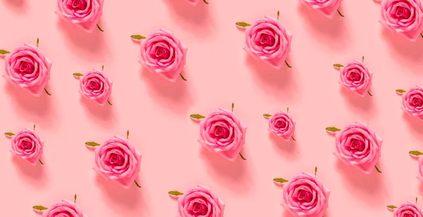 पेस्टल गुलाबी पार्श्वभूमीवर गुलाबी गुलाब — स्टॉक फोटो, इमेज